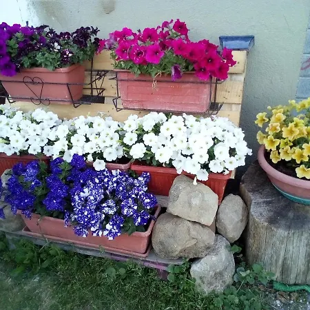 Mansarda Viti - Sguardo Su - דירה Frontone