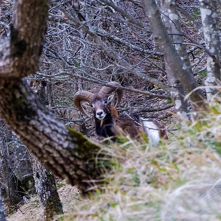Mansarda Viti - Sguardo Su - דירה Frontone