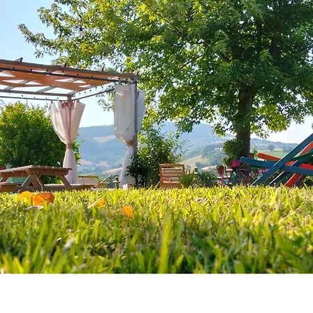 Mansarda Viti - Sguardo Su - * Frontone