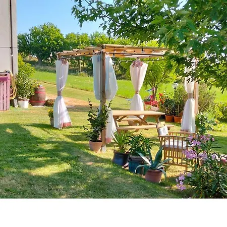 Mansarda Viti - Sguardo Su - *