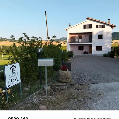 Mansarda Viti - Sguardo Su -