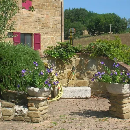 Mansarda Viti - Sguardo Su - Frontone