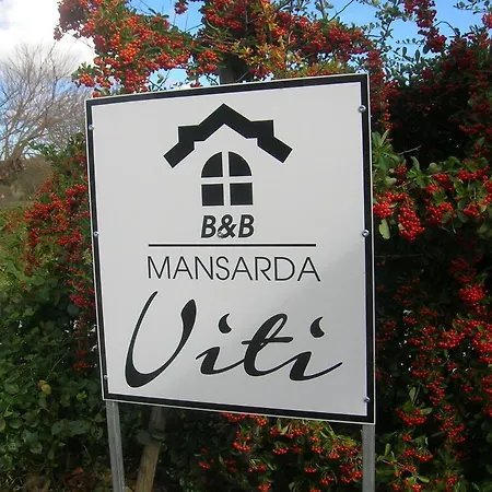 Mansarda Viti - Sguardo Su -